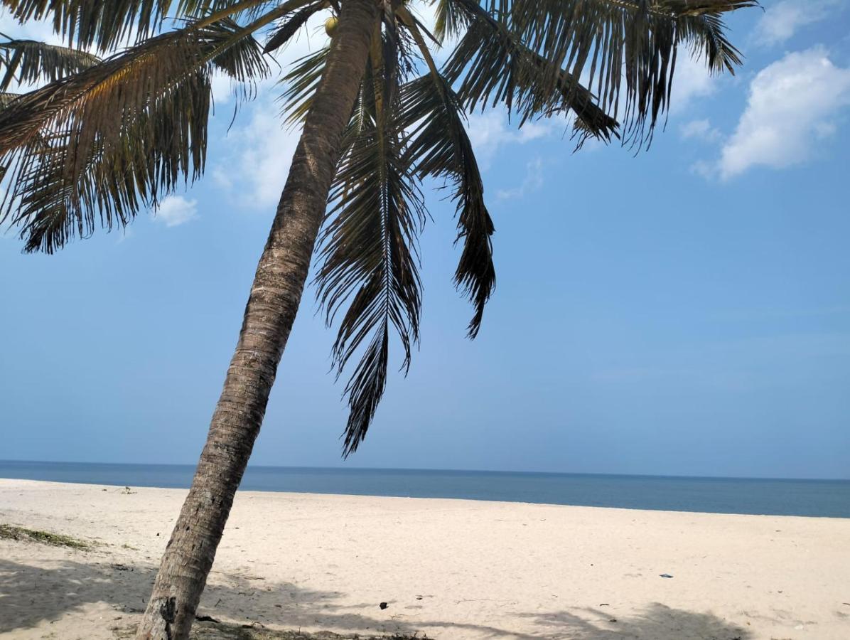 Marari La Rose Beach Homestay Mararikulam Exteriér fotografie