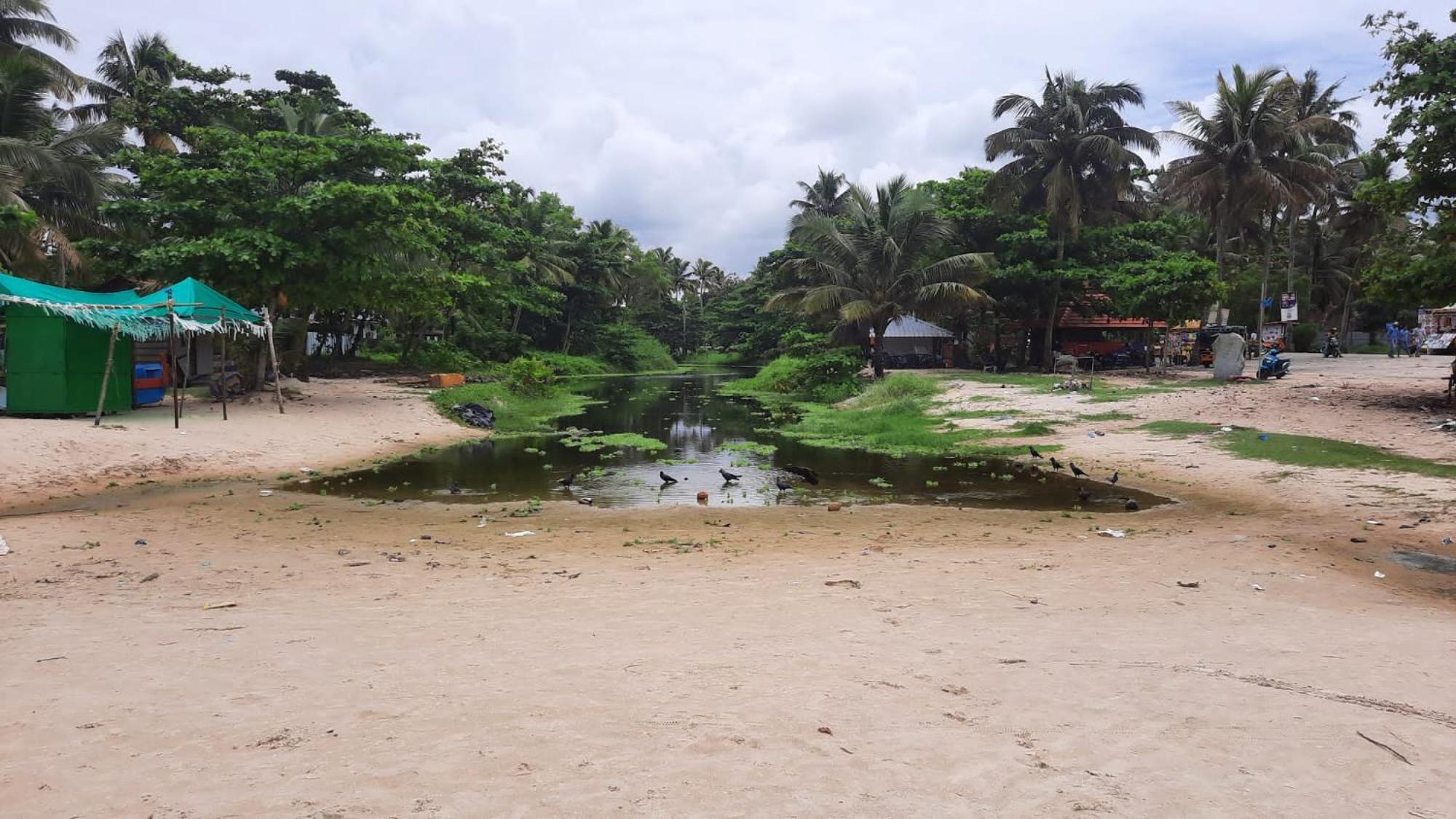 Marari La Rose Beach Homestay Mararikulam Exteriér fotografie